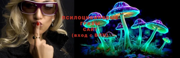 гашик Абдулино