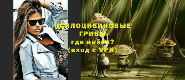 дживик Алексеевка