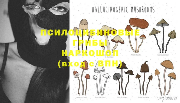 гашик Абдулино