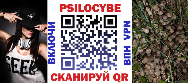 цены   Тырныауз  Псилоцибиновые грибы Psilocybe 